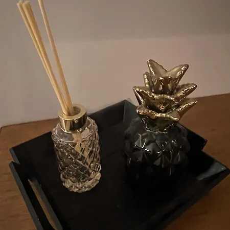 Le Havre De Gentilly Laxou Zenith Апартаменты *