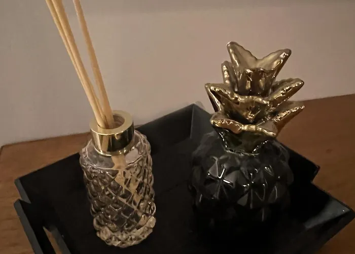 Le Havre De Gentilly Laxou Zenith Апартаменты *