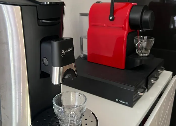 Le Havre De Gentilly Laxou Zenith